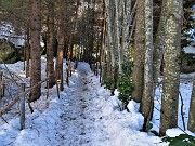 Sulle nevi del Monte Zucco (1232 m ) da S. Antonio Abbandonato (987 m) sui sent. 505-506 il 14 gennaio 2021 - FOTOGALLERY